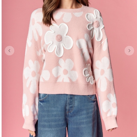 Rareraw “ Miriam “ Rareraw 3D Floral Appliqué Sweater 54 - Picture 2 of 6